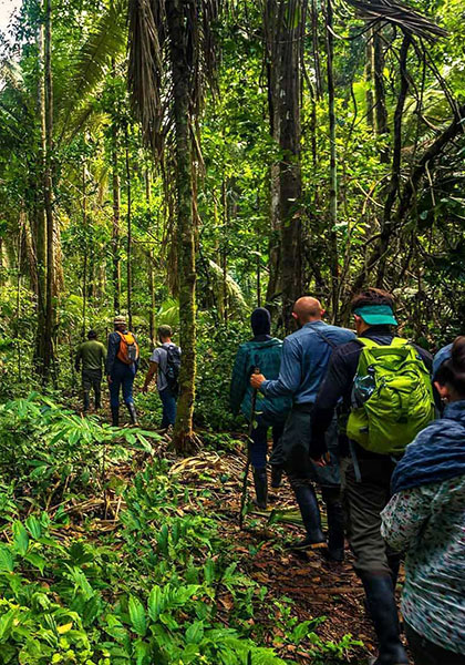 4 expériences uniques à vivre en Amazonie péruvienne